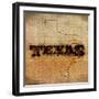 Texas Lone Star-SD Graphics Studio-Framed Art Print