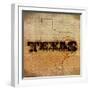 Texas Lone Star-SD Graphics Studio-Framed Art Print