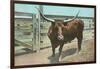 Texas Long Horn Steer-null-Framed Art Print