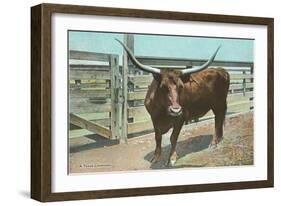 Texas Long Horn Steer-null-Framed Art Print