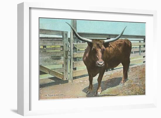 Texas Long Horn Steer-null-Framed Art Print