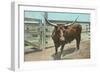 Texas Long Horn Steer-null-Framed Art Print