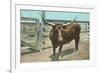 Texas Long Horn Steer-null-Framed Art Print