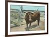 Texas Long Horn Steer-null-Framed Art Print