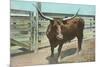 Texas Long Horn Steer-null-Mounted Art Print