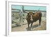 Texas Long Horn Steer-null-Framed Art Print