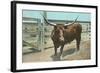 Texas Long Horn Steer-null-Framed Art Print