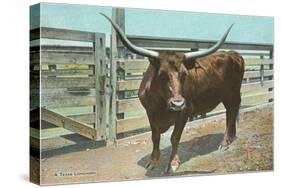 Texas Long Horn Steer-null-Stretched Canvas