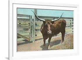 Texas Long Horn Steer-null-Framed Premium Giclee Print