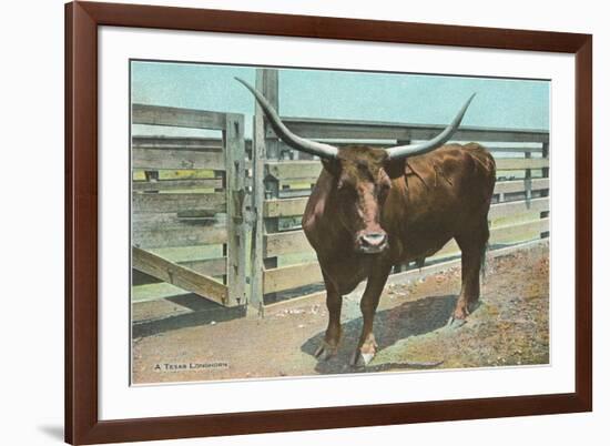 Texas Long Horn Steer-null-Framed Premium Giclee Print