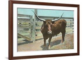 Texas Long Horn Steer-null-Framed Premium Giclee Print
