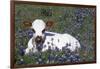 Texas Longhorn Calf in Bluebonnets (Lupine Sp.), Texas Hill Country, Burnet, Texas-Lynn M^ Stone-Framed Photographic Print