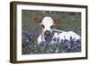 Texas Longhorn Calf in Bluebonnets (Lupine Sp.), Texas Hill Country, Burnet, Texas-Lynn M^ Stone-Framed Photographic Print