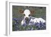 Texas Longhorn Calf in Bluebonnets (Lupine Sp.), Texas Hill Country, Burnet, Texas-Lynn M^ Stone-Framed Photographic Print