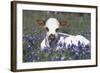 Texas Longhorn Calf in Bluebonnets (Lupine Sp.), Texas Hill Country, Burnet, Texas-Lynn M^ Stone-Framed Photographic Print