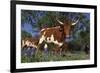 Texas Longhorn Cow in Field of Bluebonnets (Lupine Sp.), Marble Falls, Texas, USA-Lynn M^ Stone-Framed Photographic Print