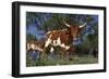 Texas Longhorn Cow in Field of Bluebonnets (Lupine Sp.), Marble Falls, Texas, USA-Lynn M^ Stone-Framed Photographic Print