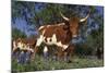 Texas Longhorn Cow in Field of Bluebonnets (Lupine Sp.), Marble Falls, Texas, USA-Lynn M^ Stone-Mounted Photographic Print