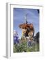 Texas Longhorn Cow with Calf-Lynn M^ Stone-Framed Photographic Print