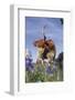 Texas Longhorn Cow with Calf-Lynn M^ Stone-Framed Photographic Print