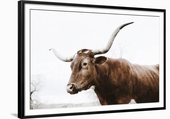 Texas Longhorn Cow-Krista Mosakowski-Framed Art Print