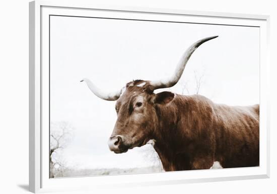 Texas Longhorn Cow-Krista Mosakowski-Framed Art Print