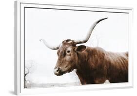 Texas Longhorn Cow-Krista Mosakowski-Framed Art Print