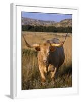 Texas Longhorn, North Dakota Badlands-Lynn M^ Stone-Framed Photographic Print