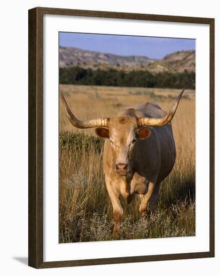 Texas Longhorn, North Dakota Badlands-Lynn M^ Stone-Framed Photographic Print