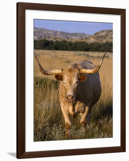 Texas Longhorn, North Dakota Badlands-Lynn M^ Stone-Framed Photographic Print