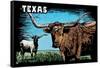 Texas - Longhorn - Scratchboard-Lantern Press-Framed Stretched Canvas