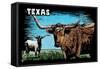 Texas - Longhorn - Scratchboard-Lantern Press-Framed Stretched Canvas