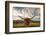 Texas Longhorn Steer in Rural Utah, Usa.-Johnny Adolphson-Framed Photographic Print