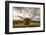 Texas Longhorn Steer in Rural Utah, Usa.-Johnny Adolphson-Framed Photographic Print