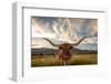 Texas Longhorn Steer in Rural Utah, Usa.-Johnny Adolphson-Framed Photographic Print
