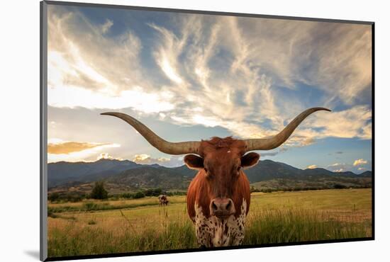 Texas Longhorn Steer in Rural Utah, Usa.-Johnny Adolphson-Mounted Photographic Print