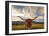 Texas Longhorn Steer in Rural Utah, Usa.-Johnny Adolphson-Framed Photographic Print