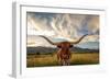 Texas Longhorn Steer in Rural Utah, Usa.-Johnny Adolphson-Framed Photographic Print