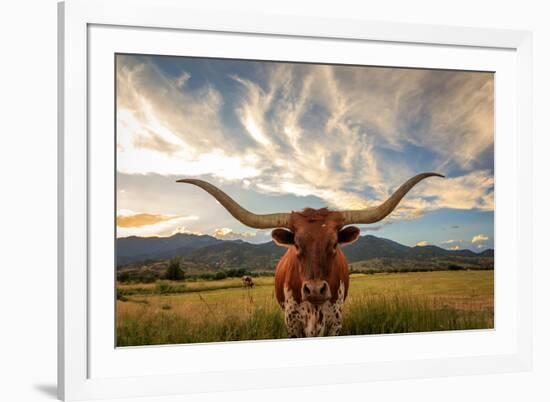 Texas Longhorn Steer in Rural Utah, Usa.-Johnny Adolphson-Framed Photographic Print