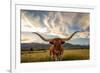 Texas Longhorn Steer in Rural Utah, Usa.-Johnny Adolphson-Framed Photographic Print