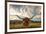 Texas Longhorn Steer in Rural Utah, Usa.-Johnny Adolphson-Framed Photographic Print