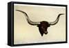 Texas Longhorn Steer Trophy Head-null-Framed Stretched Canvas