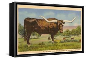 Texas Longhorn Steer-null-Framed Stretched Canvas