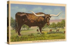 Texas Longhorn Steer-null-Stretched Canvas