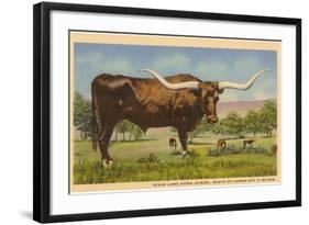 Texas Longhorn Steer-null-Framed Art Print