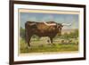 Texas Longhorn Steer-null-Framed Premium Giclee Print