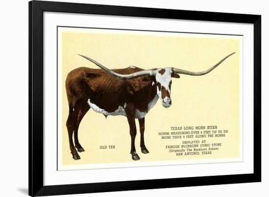 Texas Longhorn Steer-null-Framed Art Print