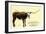 Texas Longhorn Steer-null-Framed Art Print