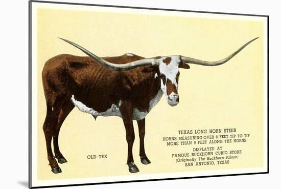 Texas Longhorn Steer-null-Mounted Art Print