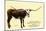 Texas Longhorn Steer-null-Mounted Art Print